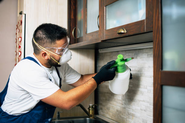 Pest Prevention Services in Menominee, MI