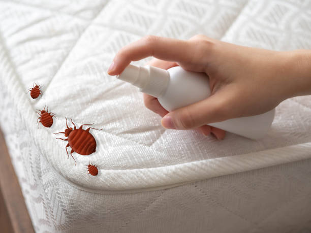 Reliable Menominee, MI Pest Control Solutions